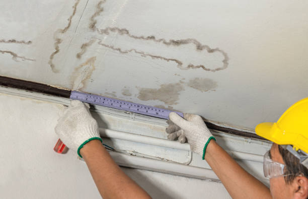 Reliable Water Removal contractor in Jeffersonville, OH by Water Damage Irwin